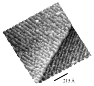 Anisotropic growth of Cr Ad-layer: a one-dimensional nanostructure