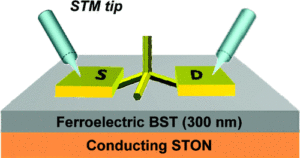 Ferroelectric Gated Electrical Transport in CdS Nanotetrapods