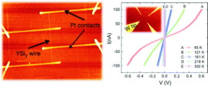 Polaronic Transport and Current Blockades in Epitaxial Silicide Nanowires and Nanowire Arrays