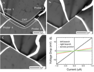 Probing electrical transport in individual carbon nanotubes and junctions