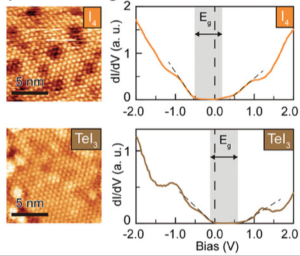 Flat-Band Electronic Bipolarity in a Janus and Kagome van der Waals Semiconductor Nb3TeI7